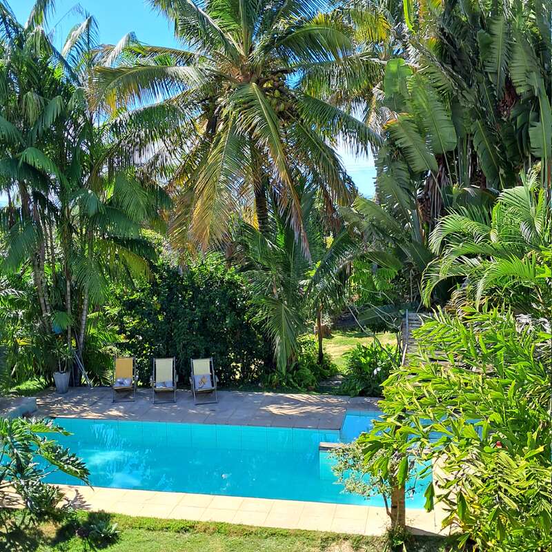 Um quintal sereno com uma piscina azul clara, três espreguiçadeiras e palmeiras tropicais exuberantes que proporcionam sombra e uma atmosfera relaxante, como nas férias.