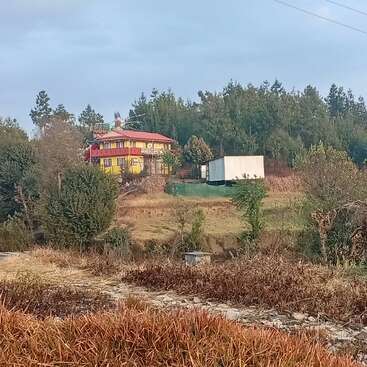 Una escena campestre con una casa amarilla y roja en una colina, rodeada de árboles y hierba, con plantas secas, un camino de tierra y una torre de telefonía móvil en la distancia.