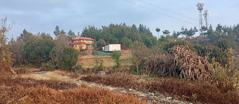 Uma cena rural com uma casa amarela e vermelha em uma colina, cercada por árvores e grama, com plantas secas, estrada de terra e uma torre de celular ao longe.