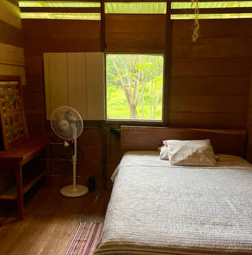 A cozy wooden room with a single bed, desk, standing fan, butterfly display, window showing greenery outside, and natural light creating a peaceful atmosphere.