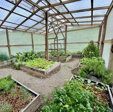 Cette image montre une serre bien organisée avec des lits de jardin en bois surélevés remplis de divers légumes verts à feuilles, d'herbes et de plantes, sous une structure de toit transparente.