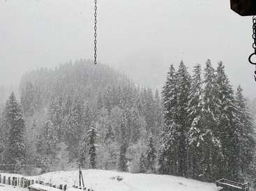 Leicht fällt der Schnee über eine mit Kiefern bewachsene Berglandschaft. Hohe Bäume stehen, mit einer weißen Schneeschicht bedeckt, und im Vordergrund hängen Ketten, was eine friedliche, winterliche Szene schafft.