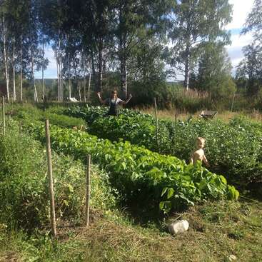 L'image représente une scène de jardin sereine, avec des plantes vertes luxuriantes, une femme et un enfant au milieu du feuillage, avec des arbres et un ciel bleu en arrière-plan.