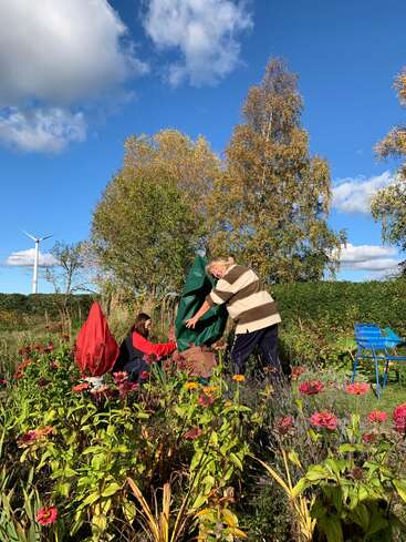 Zwei Menschen bedecken Pflanzen in einem bunten Garten, umgeben von blühenden Blumen und Herbstbäumen, unter einem strahlend blauen Himmel mit vereinzelten Wolken.