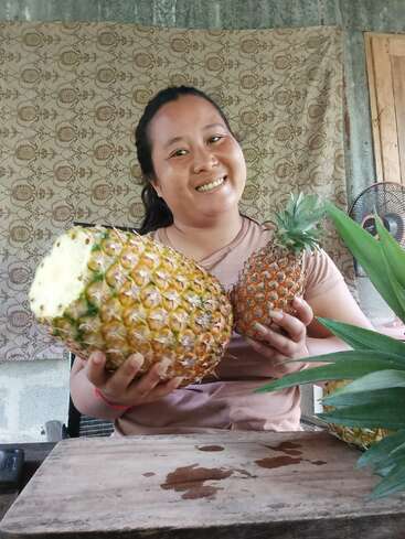 Eine lächelnde Frau sitzt drinnen und hält in der einen Hand eine große Ananas und in der anderen eine kleinere Ananas, wodurch der deutliche Größenunterschied zwischen den beiden deutlich wird.