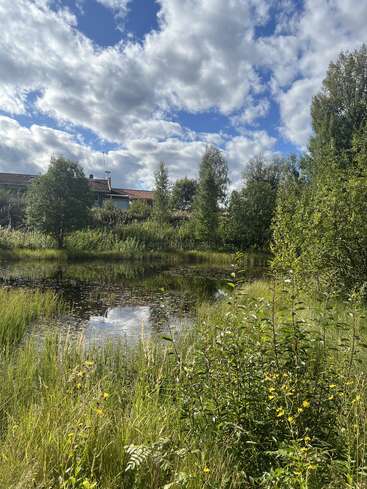 Um lago tranquilo reflete o céu, cercado por gramíneas e arbustos verdes exuberantes. Árvores e casas distantes ficam sob um céu azul cheio de nuvens fofas.