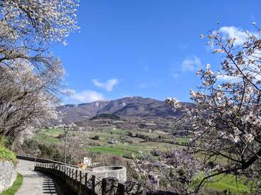 Un chemin sinueux bordé d'arbres en fleurs surplombe une vallée pittoresque de champs verdoyants, parsemés de maisons, et de montagnes majestueuses sous un ciel d'un bleu éclatant.