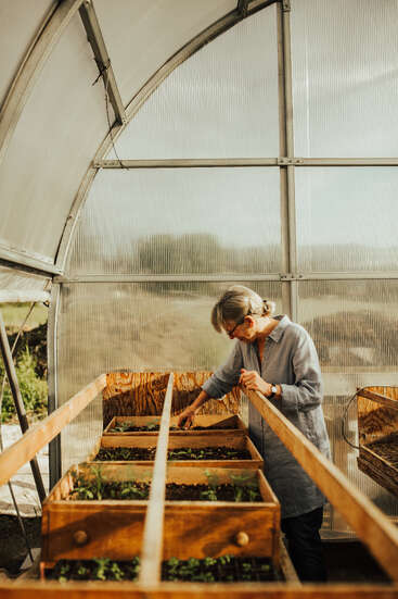 Dans une serre, une femme s'occupe de jeunes plants qui poussent dans des bacs en bois. La lumière du soleil pénètre à flots, créant un environnement chaleureux et propice au jardinage et à la croissance.