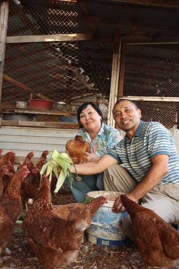 Un couple souriant nourrit des poules dans un poulailler. La femme tient un poulet et du maïs, tandis que l'homme est agenouillé à côté d'elle, entouré de poules brunes.
