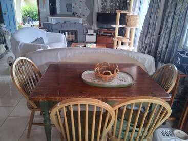A cozy living-dining area features a wooden table with four chairs, a wicker basket, two sofas, TV, fireplace, cat tree, and patterned curtains.