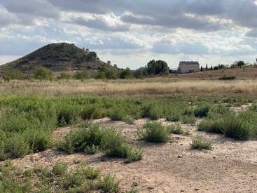 A semi-arid landscape with scattered green shrubs and dry grass. A small hill rises on the left, while a distant building sits under a cloudy sky.