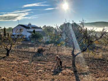 A sunlit rural scene features a house, bare trees, dry grass, and a dog sniffing the ground. Mist rises in the background, creating a peaceful atmosphere.