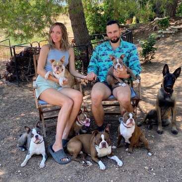 A couple sits outdoors on wooden chairs, holding hands and surrounded by seven dogs, mostly Boston Terriers, under leafy trees in a sunny, relaxed setting.