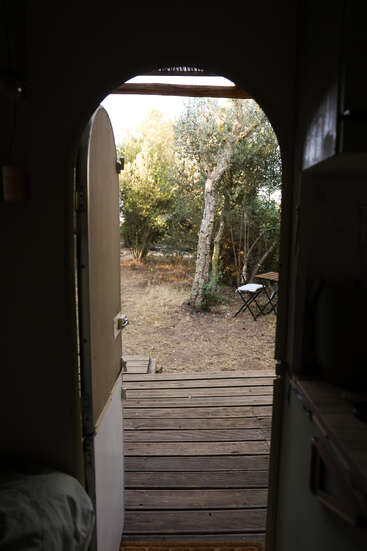 A vista através de uma porta aberta revela um deck de madeira, grama seca, uma árvore frondosa e uma pequena mesa ao ar livre com duas cadeiras na natureza.
