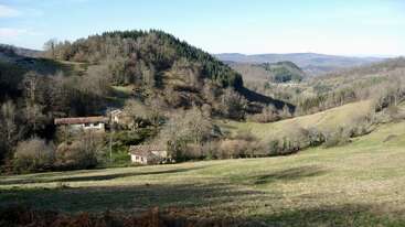 Eine friedliche ländliche Landschaft mit sanften Hügeln, vereinzelten Bäumen und ein paar rustikalen Häusern, eingebettet in das Grün. In der Ferne erstrecken sich Wälder und Berge unter einem strahlend blauen Himmel.