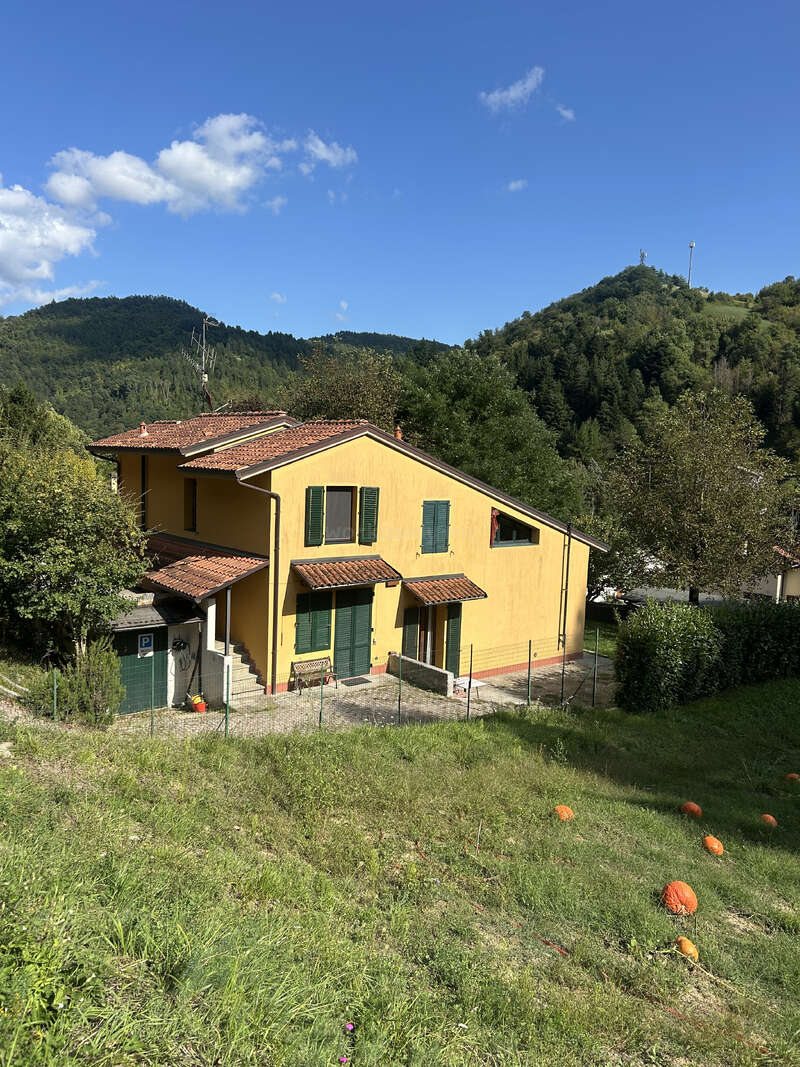 Uma charmosa casa amarela com persianas verdes fica em uma encosta, cercada por árvores exuberantes e montanhas. Abóboras espalhadas pontilham o primeiro plano gramado, sob um céu limpo.