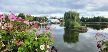 Des fleurs colorées encadrent un lac serein, reflétant une petite île avec des arbres luxuriants. À l'arrière-plan, des structures et un ciel bleu créent une scène paisible et pittoresque.