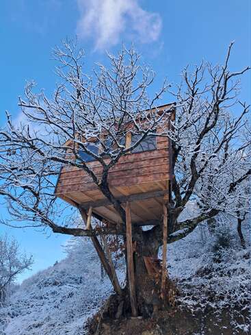 A wooden treehouse stands high among snow-covered branches. The sky is clear and blue, and the surrounding landscape is blanketed in white, creating a peaceful winter scene.
