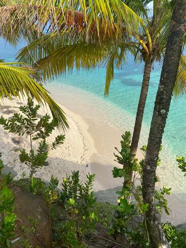 The image depicts a serene tropical beach scene, featuring a sandy shore, crystal-clear turquoise water, palm trees, and lush greenery, evoking a sense of tranquility.