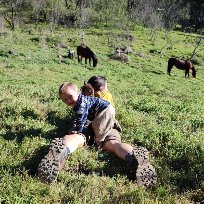 A imagem mostra duas crianças sentadas em um campo gramado, cercadas por árvores e cavalos pastando ao fundo em um dia ensolarado.