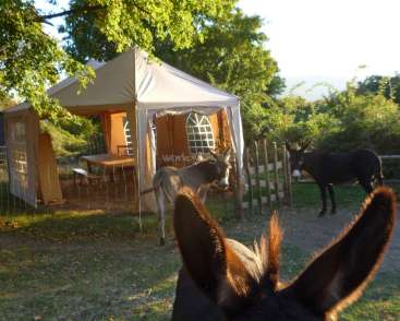 The image depicts a serene outdoor setting with a white tent, donkeys, and a fence, evoking a sense of tranquility and natural beauty.