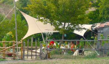 The image depicts a serene outdoor setting, featuring a wooden fence, sunflowers, and a tree with a white shade sail, where people are seated at a table.