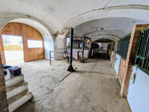 This image shows a digital workspace with three photos: an old stable, a paddock with horses, and a barn interior with resting animals on straw.