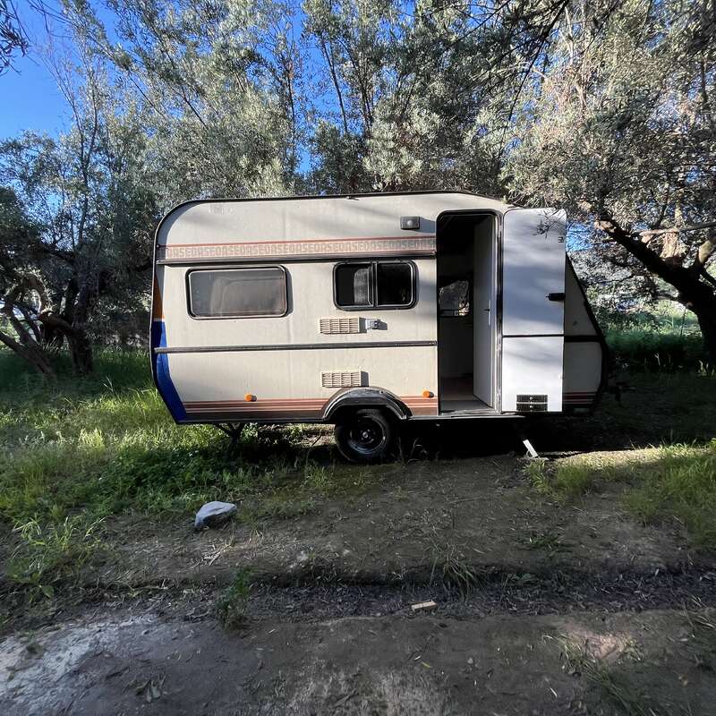 A small caravan sits parked in a shaded grassy area among tall trees. The door is open, sunlight filters through leaves, creating a peaceful, natural setting.