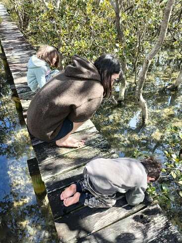 Drei Kinder sitzen und knien barfuß auf einem verwitterten Holzsteg über dem flachen Wasser und schauen neugierig auf die Mangrovenpflanzen und ihre Spiegelungen unter ihnen. Friedliche Erkundung.