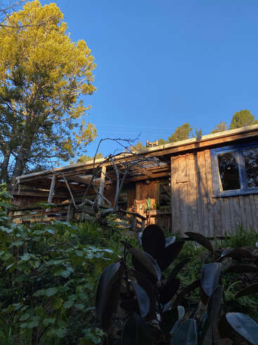 Eine rustikale Holzhütte liegt umgeben von üppigem Grün und hohen Bäumen unter einem klaren blauen Himmel und strahlt Ruhe und Verbundenheit mit der Natur aus.