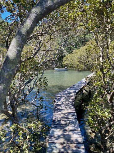 Ein Holzsteg schlängelt sich durch Mangrovenbäume über klares, flaches Wasser und führt zu einem kleinen Beiboot. Das Sonnenlicht dringt durch die Blätter und wirft überall schummrige Schatten.