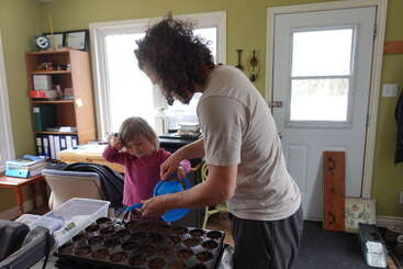 Un hombre y una niña pequeña están plantando semillas en el interior, regando la tierra de las bandejas de semilleros, rodeados de muebles de oficina y de la luz natural que entra por las ventanas.