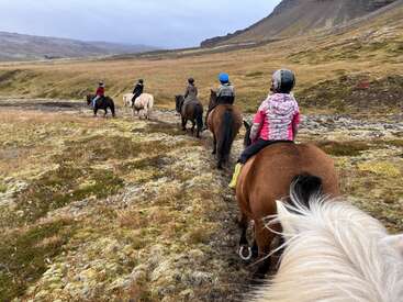 The image depicts a group of people riding horses through a grassy field with hills in the background, all wearing helmets and jackets.