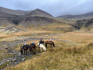 The image depicts a group of horseback riders traversing a grassy field, with mountains visible in the background, set against an overcast sky.