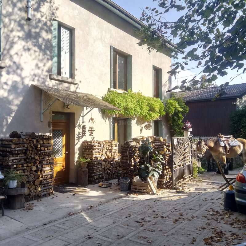 A imagem mostra uma charmosa casa de dois andares com um exterior acolhedor e convidativo, com uma pilha de lenha e um cavalo no quintal, cercado por uma atmosfera serena.