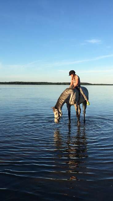 L'image représente une femme montant un cheval dans des eaux peu profondes, le cheval se penchant pour boire à la surface de l'eau. La femme porte un casque et des cheveux longs.