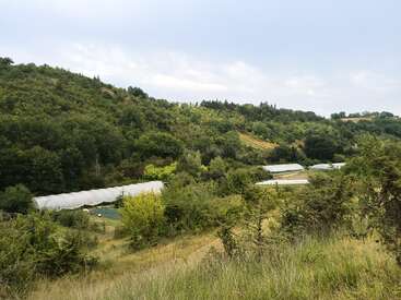 The image shows a peaceful rural landscape with rolling hills, dense green trees, grassy fields, and several white greenhouse structures nestled in the valley below.