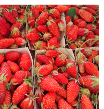 The image shows vibrant red strawberries packed in small containers. Fresh, ripe, and juicy, the strawberries have green stems and leaves, ready to be enjoyed.