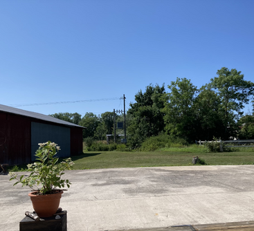 Um dia ensolarado com céu azul claro, árvores verdes, um celeiro vermelho, um vaso de planta no concreto e linhas de energia distantes no campo.