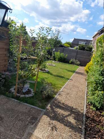 Un jardin ensoleillé et bien entretenu présente un chemin en pierre, de jeunes arbres, de l'herbe verte et luxuriante, des parterres de fleurs, une clôture en bois et un ciel bleu partiellement nuageux.