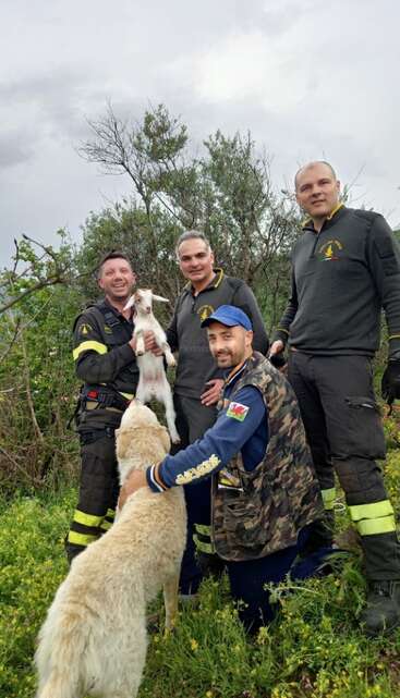 La imagen muestra a un grupo de personas de pie, algunas con camisetas a juego, posando para una foto delante de un telón de fondo, transmitiendo un sentimiento de unidad y camaradería.