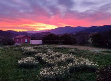 Una puesta de sol llena de vida tiñe el cielo de tonos rosados y anaranjados sobre colinas onduladas, un campo de flores silvestres, una casita roja y montañas lejanas.
