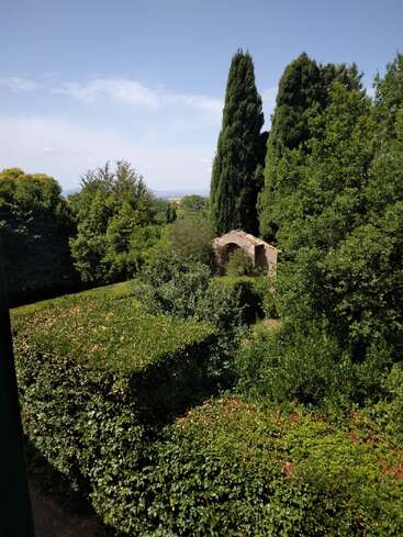 Tall cypress trees and neatly trimmed hedges surround a small stone structure. The sunny day and clear sky create a peaceful, lush green garden scene.