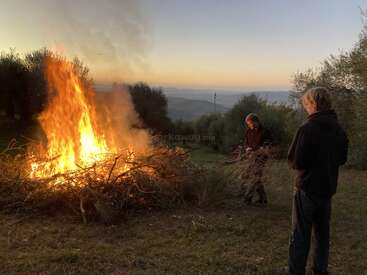 Two people stand near a large bonfire of branches at sunset, surrounded by trees and hilly landscape, as smoke rises into the evening sky.