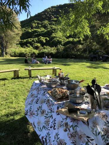 Au premier plan, une table de pique-nique recouverte de fleurs et chargée de nourriture. Au loin, quatre personnes sont assises sur de l'herbe, entourées d'une verdure luxuriante et ensoleillée.