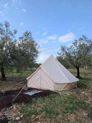 Uma tenda de lona de cor creme é montada entre oliveiras em um terreno gramado sob um céu azul com algumas nuvens, criando uma cena tranquila ao ar livre.