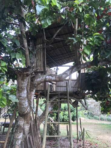 A imagem mostra uma casa na árvore com uma estrutura de madeira e uma escada, aninhada entre os galhos de uma árvore, cercada por uma vegetação exuberante e um campo gramado ao fundo.