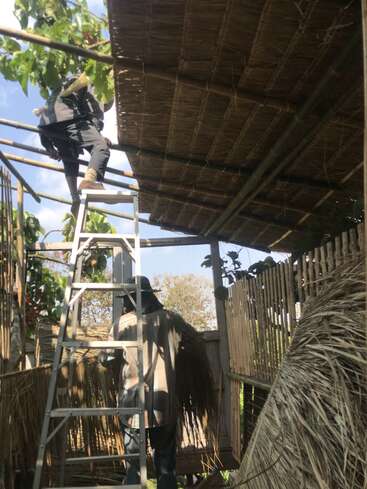 A imagem mostra dois homens construindo um telhado com bambu e palha, um em pé em uma escada e o outro trabalhando embaixo, cercados por uma cerca e árvores.