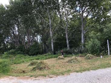 A person stands in a grassy, partially mowed clearing, surrounded by tall trees and dense foliage. Several piles of cut grass are scattered around the area.
