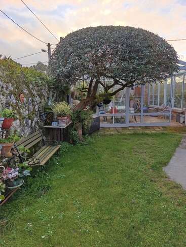 Un jardin paisible avec une pelouse verdoyante, un arbre singulier à la cime arrondie, un mur de pierre, des plantes en pot, un banc en bois et une véranda vitrée. Une atmosphère paisible.